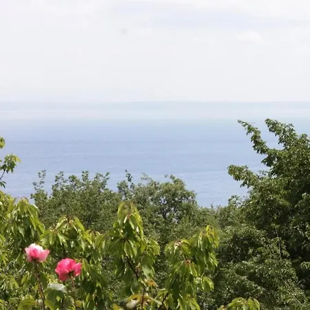 Appartement With A Parking Space Lovran, Opatija - 7743 *